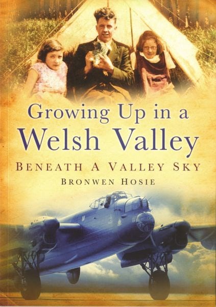 Cover image for Growing up in a Welsh Valley Beneath a Valley Sky, isbn: 9780752451633