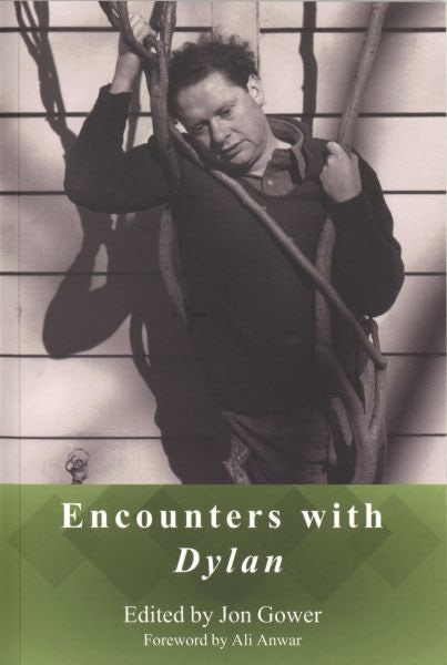 Cover image for Encounters with Dylan, isbn: 9780992756024