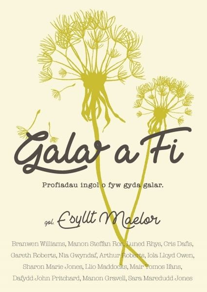 Cover image for Galar a Fi, isbn: 9781784614973