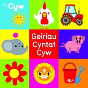 Cover image for Cyfres Cyw: Geiriau Cyntaf Cyw, isbn: 9781784619855