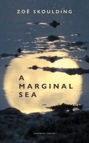 Cover image for A Marginal Sea, isbn: 9781800172517