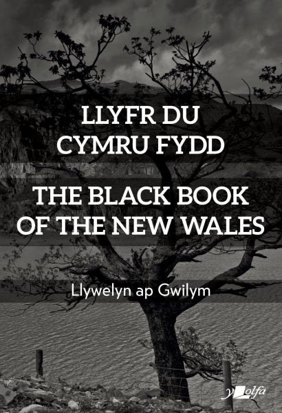 Cover image for Llyfr Du Cymru Fydd / The Black Book of the New Wales, isbn: 9781800990739