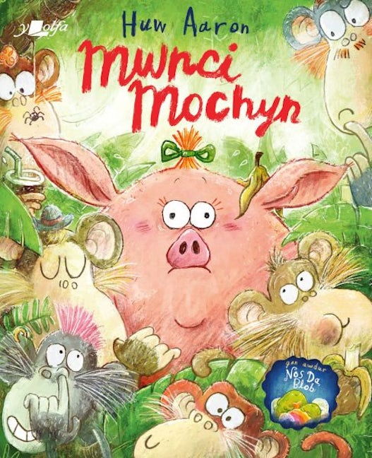 Cover image for Mwnci Mochyn, isbn: 9781800998117
