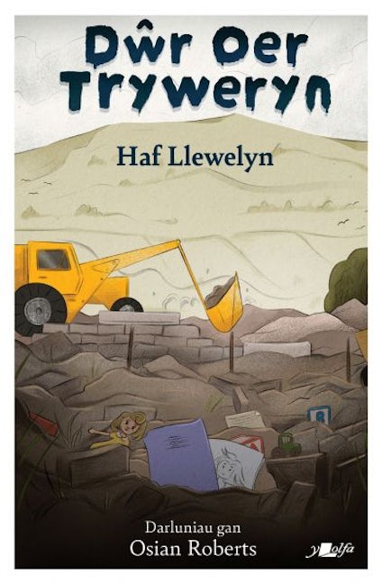 Cover image for Dŵr Oer Tryweryn, isbn: 9781800998261