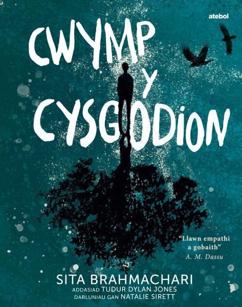 Cover image for Cwymp y Cysgodion, isbn: 9781801063944