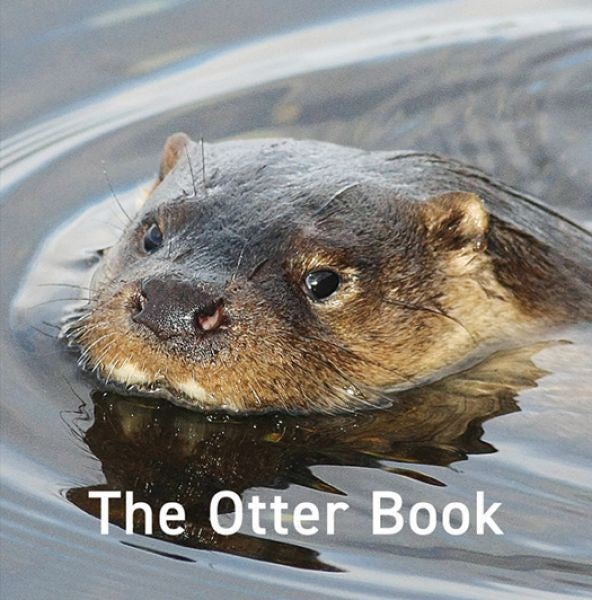 Cover image for The Otter Book, isbn: 9781802580990