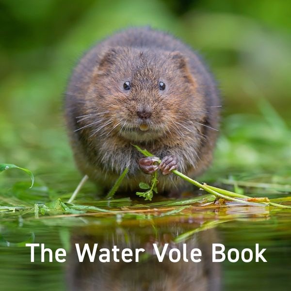 Cover image for Nature Book Series: The Water Vole Book, isbn: 9781802581676