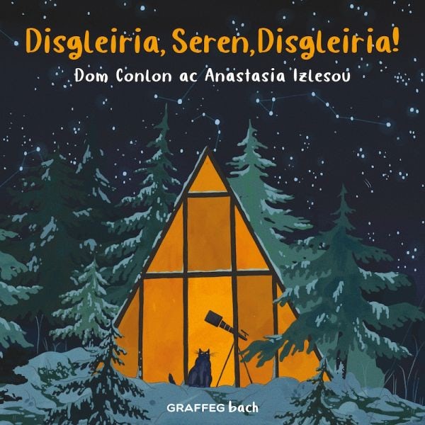 Cover image for Disgleiria, Seren, Disgleiria!, isbn: 9781802581973