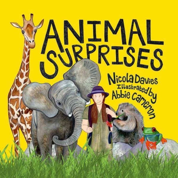 Cover image for Animal Surprises, isbn: 9781802584028