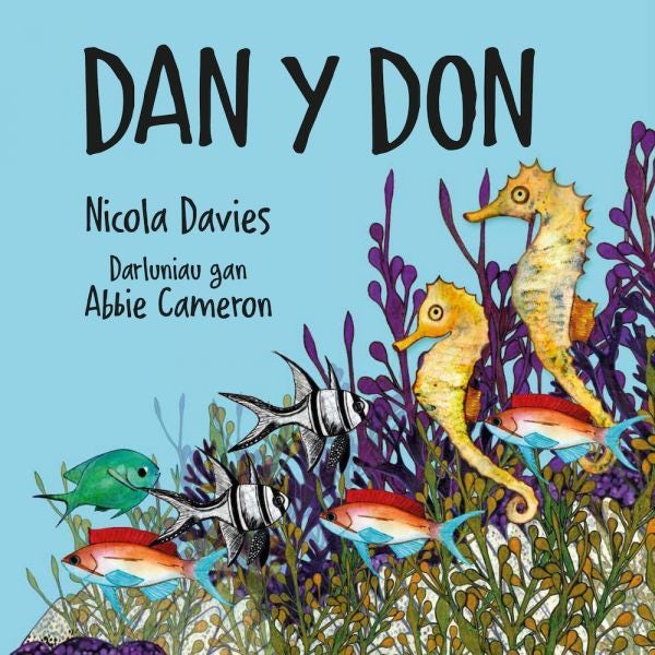 Cover image for Dan y Don, isbn: 9781802584271