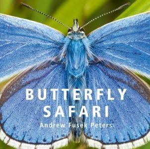 Cover image for Butterfly Safari, isbn: 9781802584820