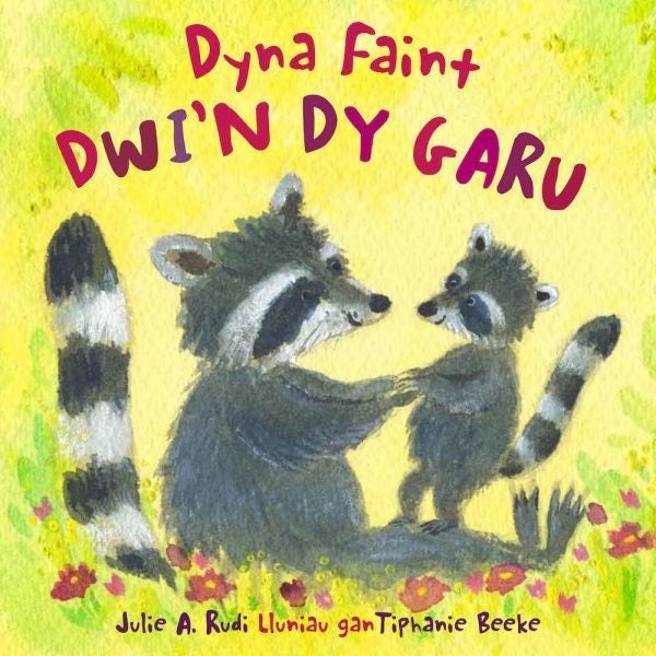 Cover image for Dyna Faint Dwi’n dy Garu, isbn: 9781802585049