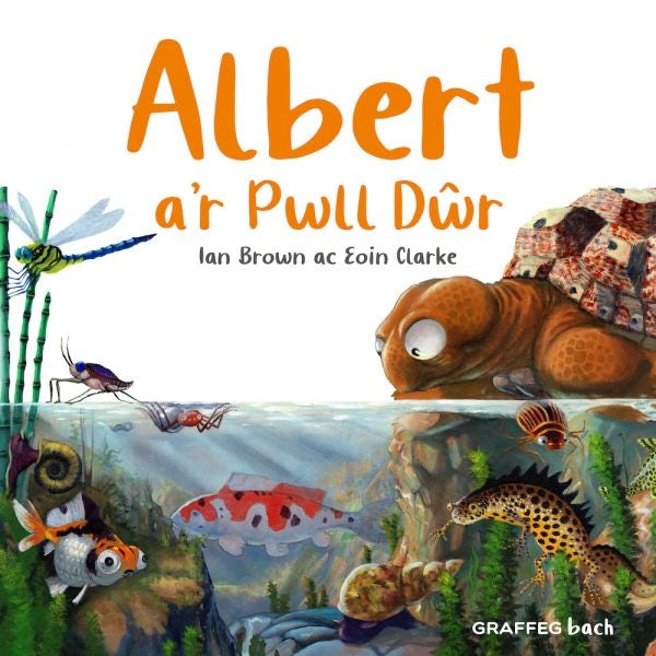 Cover image for Albert a’r Pwll Dŵr, isbn: 9781802585957