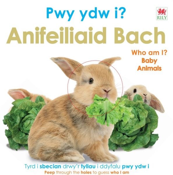 Cover image for Pwy Ydw i? Anifeiliaid Bach / Who Am I? Baby Animals, isbn: 9781804164327