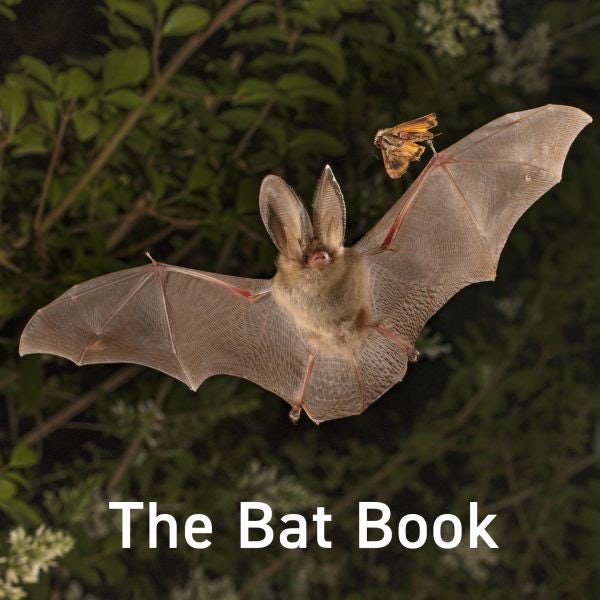 Cover image for Nature Book Series: The Bat Book, isbn: 9781805951872