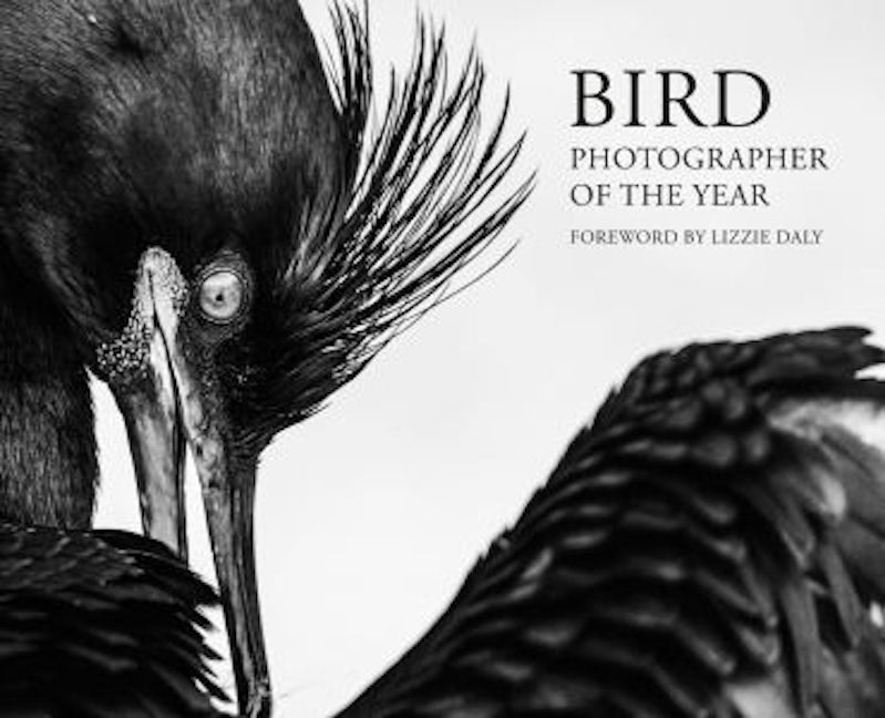 Cover image for Bird Photographer of the Year 2026, isbn: 9781805952404