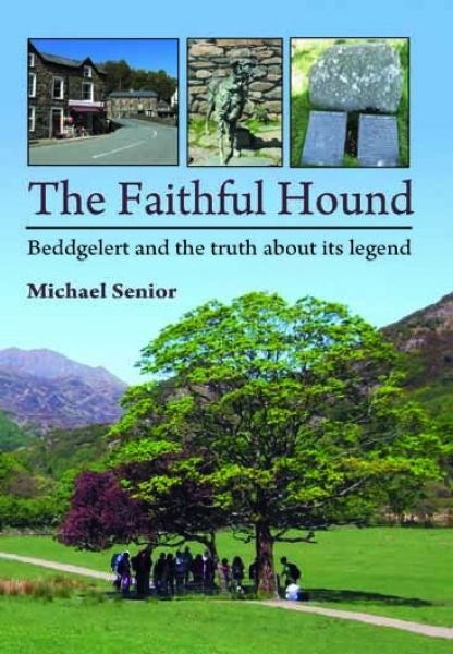 Cover image for Faithful Hound Beddgelert and the Truth About Its Legend, isbn: 9781845241506