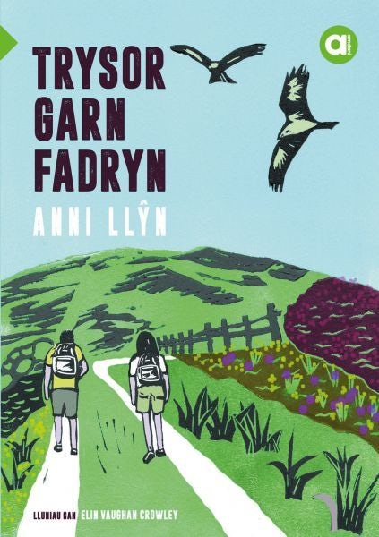 Cover image for Cyfres Amdani: Trysor Garn Fadryn, isbn: 9781845245252