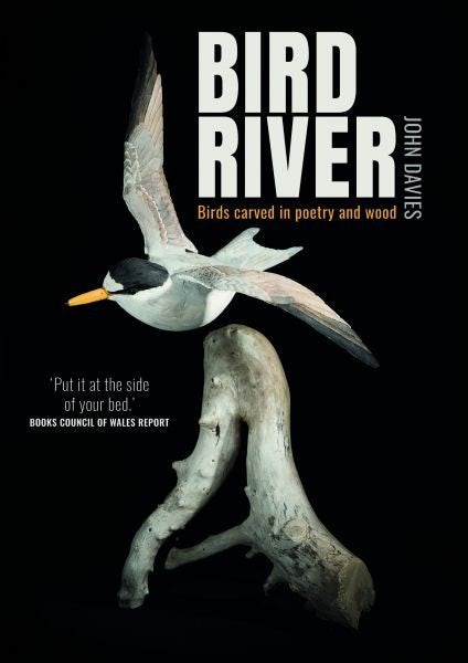 Cover image for Bird River, isbn: 9781845245931