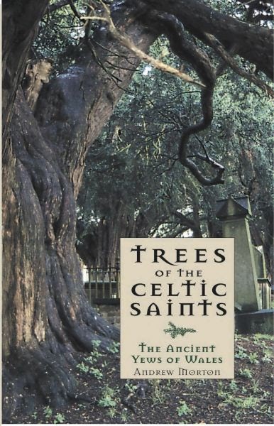Cover image for Trees of the Celtic Saints The Ancient Yews of Wales, isbn: 9781845271732