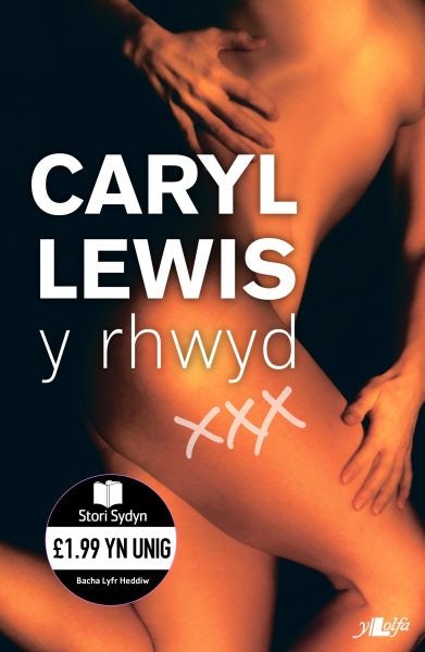 Cover image for Cyfres Stori Sydyn: Y Rhwyd, isbn: 9781847715494