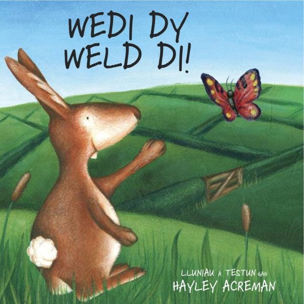 Cover image for Wedi Dy Weld Di, isbn: 9781905762927