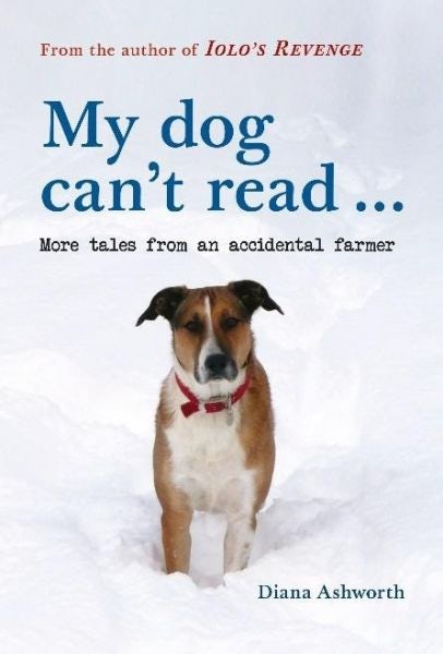 Cover image for My dog can't read... more tales from an accidental farmer, isbn: 9781910839829