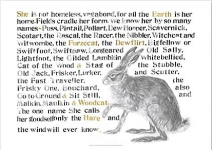 Cover image for Jackie Morris Poster: Names of the Hare, The, isbn: 9781912654499