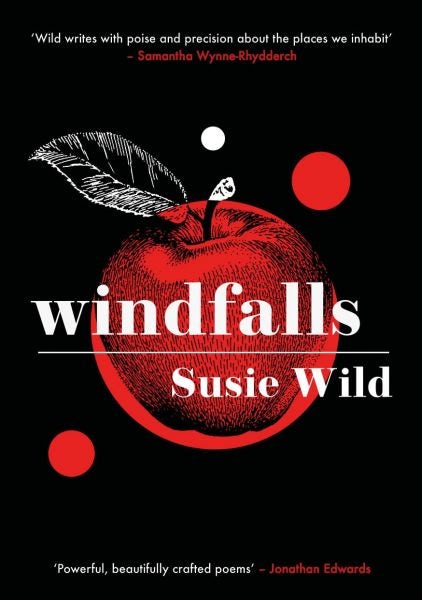 Cover image for Windfalls, isbn: 9781912681754