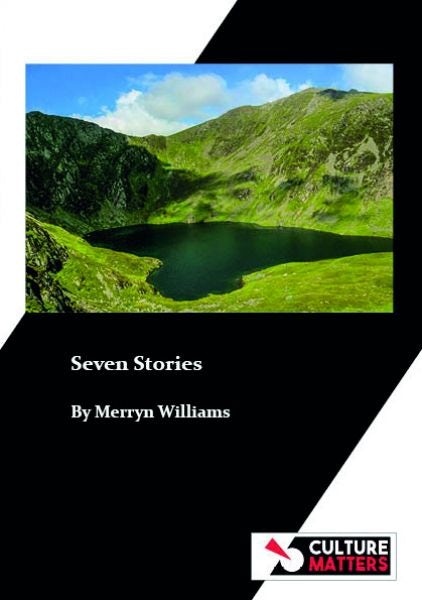Cover image for Seven Stories, isbn: 9781912710874