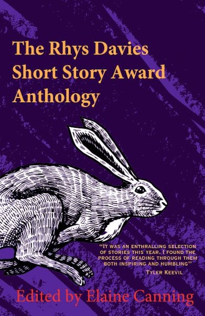 Cover image for The Rhys Davies Short Story Competition Anthology, isbn: 9781913830854