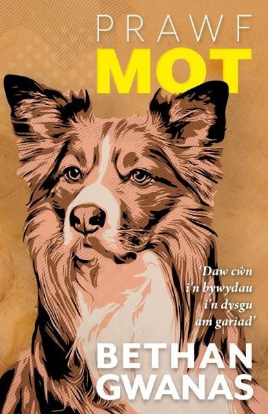 Cover image for Prawf Mot, isbn: 9781913996543