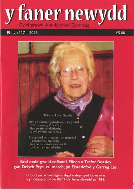 Cover image for Y Faner Newydd 117 (Hydref 2026), isbn: N489898989