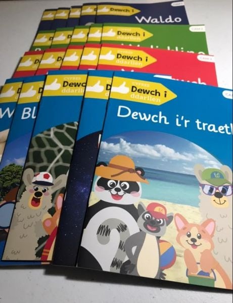 Cover image for Cyfres 'Dewch i Ddarllen' Wini a Waldo, isbn: 0113700719