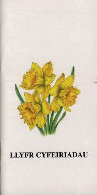 Cover image for Llyfr Cyfeiriadau - Cennin Pedr, isbn: 9780000272461