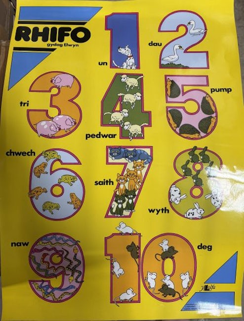 Cover image for Poster Rhifo, isbn: 9780000677976