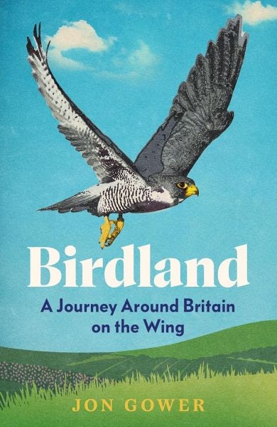Cover image for Birdland - A Journey Around Britain on the Wing, isbn: 9780008688189