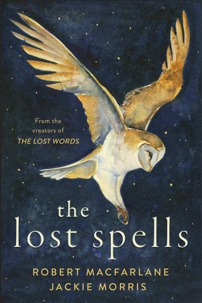 Cover image for The Lost Spells, isbn: 9780241444641