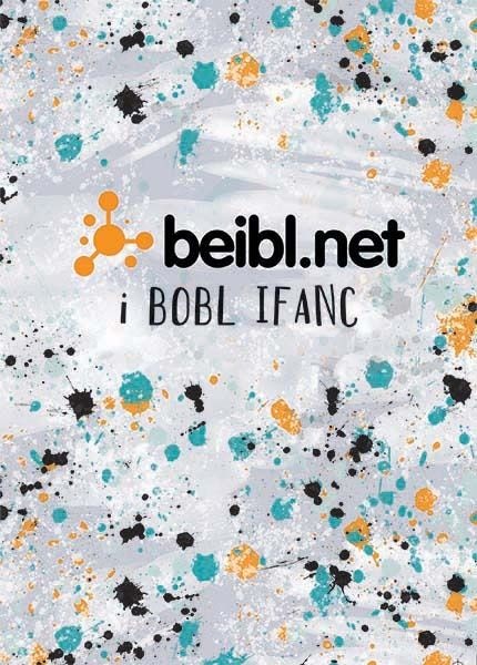 Cover image for Beibl.Net - i Bobl Ifanc, isbn: 9780564081578