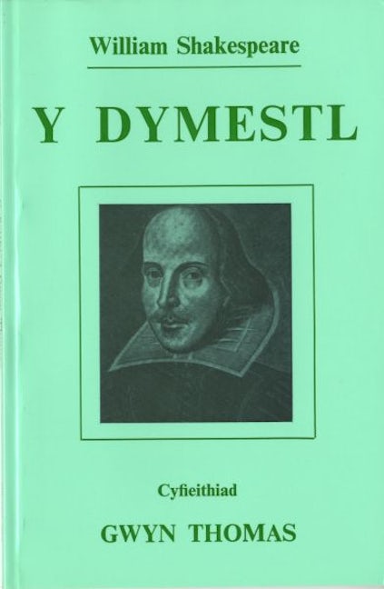 Cover image for Y Dymestl, isbn: 9780707402789