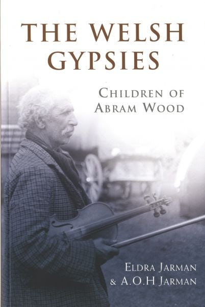 Cover image for Welsh Gypsies, The - Children of Abram Wood, isbn: 9780708323984