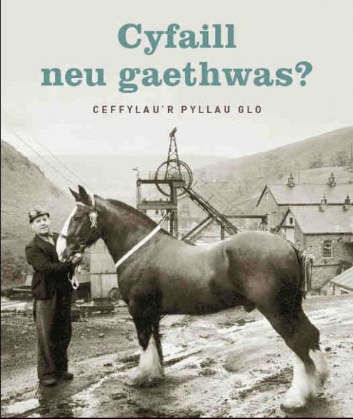 Cover image for Cyfaill Neu Gaethwas?  Ceffylau'r Pyllau Glo, isbn: 9780720005905