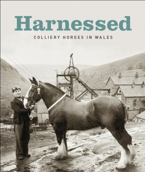 Cover image for Harnessed  Colliery Horses in Wales, isbn: 9780720005912
