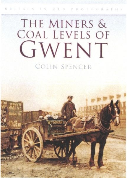 Cover image for Miners and Coal Levels of Gwent, The, isbn: 9780752452517
