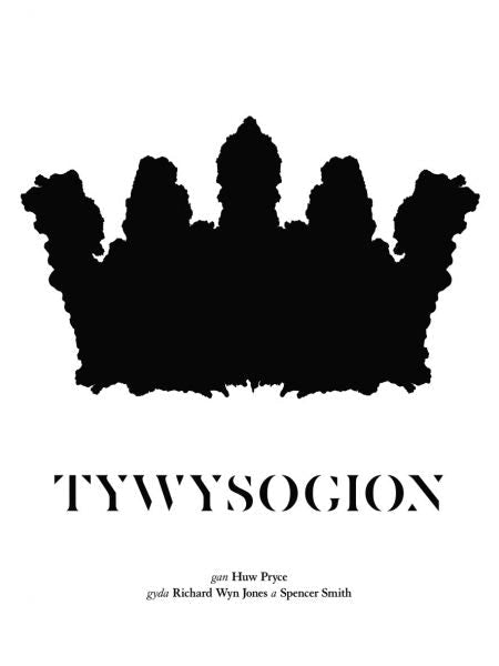 Cover image for Tywysogion, isbn: 9780852843260