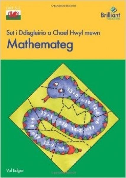 Cover image for Sut i Ddisgleirio a Chael Hwyl Mewn Mathemateg, isbn: 9780857472267