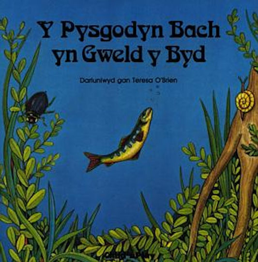 Cover image for Y Pysgodyn Bach yn Gweld y Byd, isbn: 9780859534802