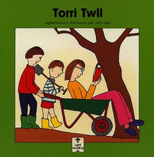 Cover image for Cyfres Light Reading: Torri Twll, isbn: 9780859536561