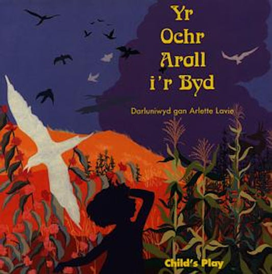 Cover image for Yr Ochr Arall i'r Byd, isbn: 9780859536653