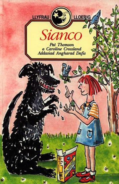 Cover image for Llyfrau Lloerig: Sianco, isbn: 9780860740537
